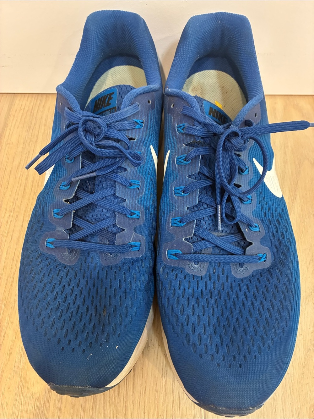 Nike Blue Air Zoom Pegasus 34